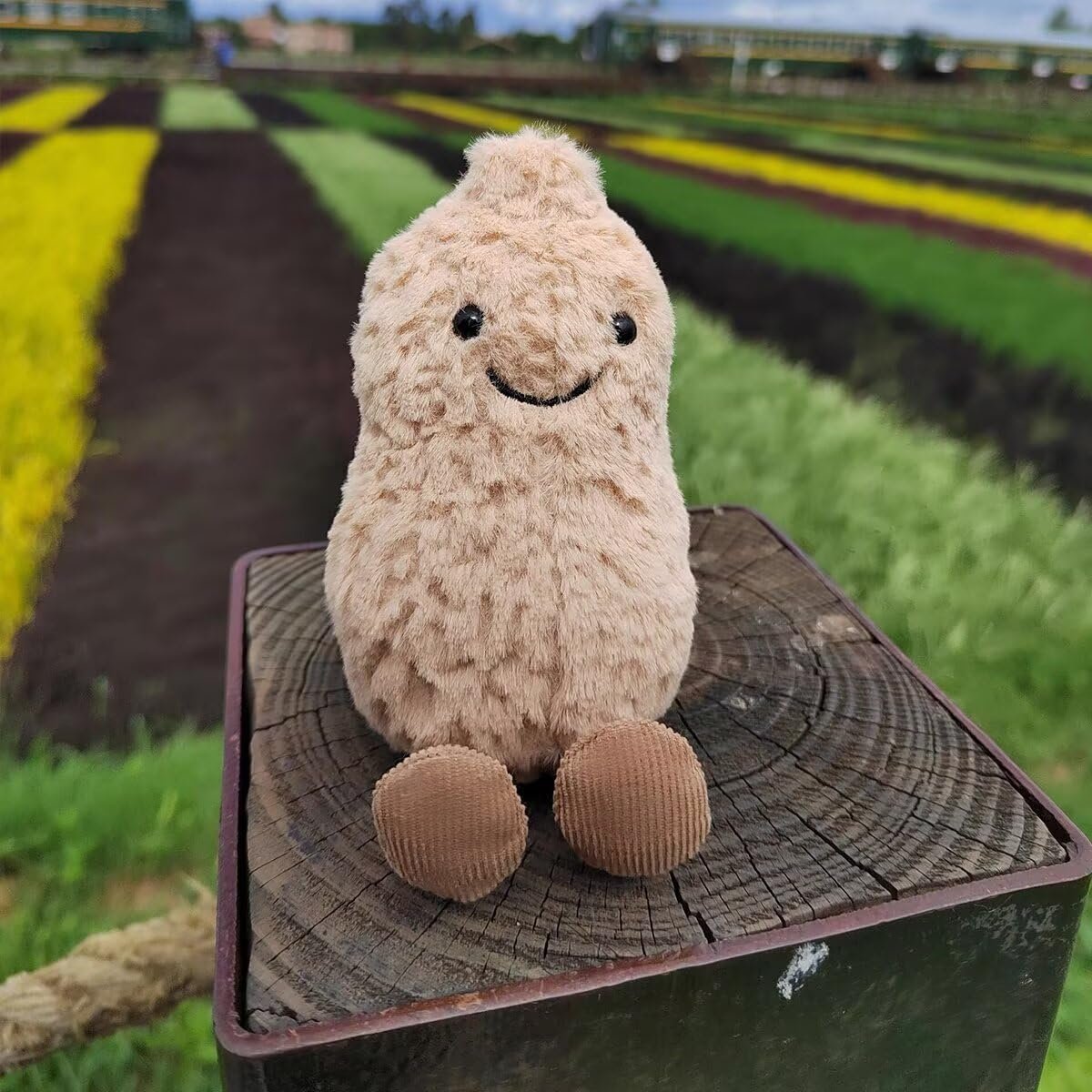 Cute Peanut Plush Toy, 6" Soft Peanut Stuffed Animal Funny Food Plushies with Legs, Adorable Smile Peanut Birthday Gift for Kids Girls Boys - Image 5