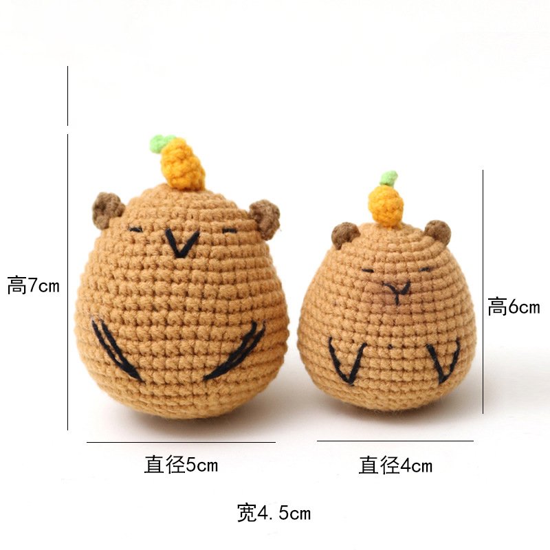 Kapibala with a large pineapple on his head Crochet Kit, DIY Crochet Starter Kit