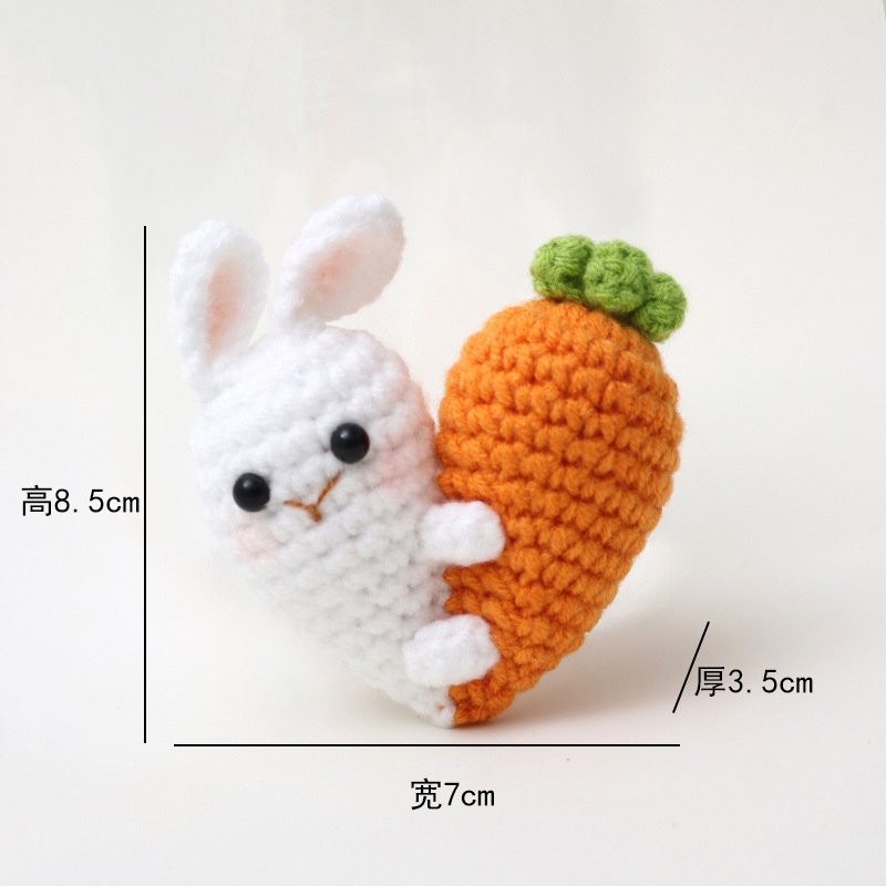 Rabbit and carrot hug Crochet Kit, DIY Crochet Starter Kit