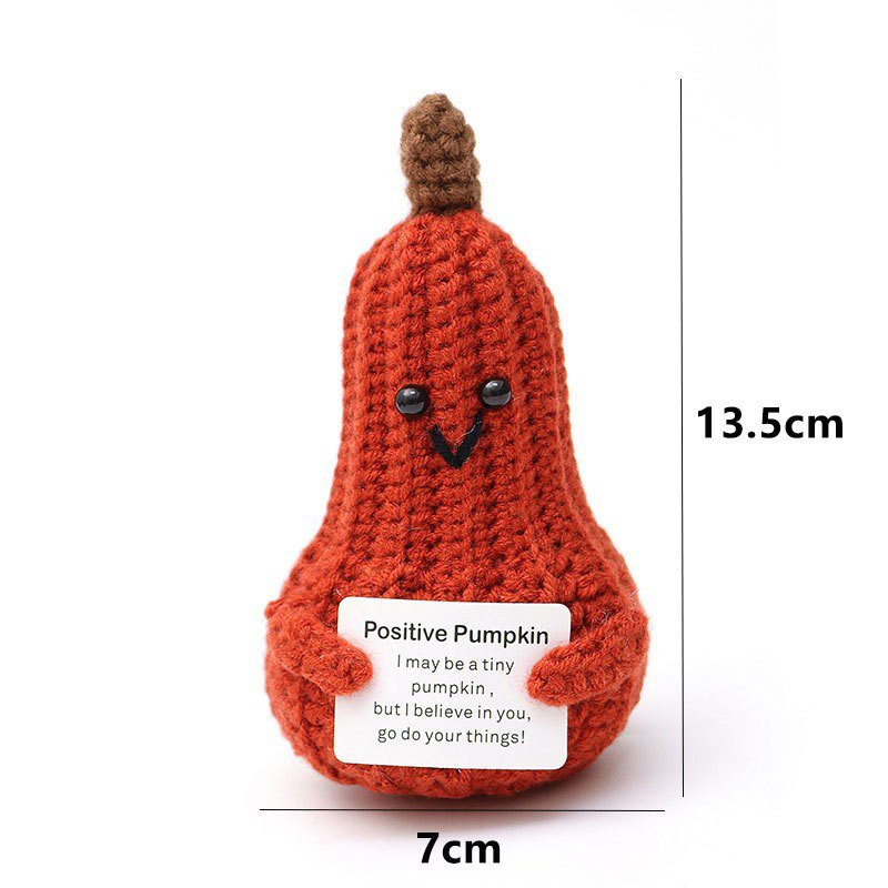 Pumpkin with a Positive Crochet Kit, DIY Crochet Starter Kit